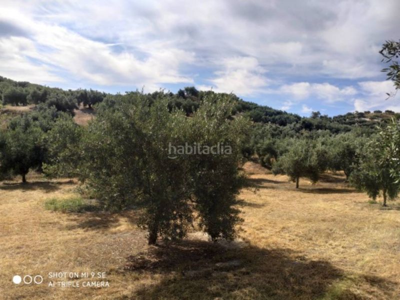 Foto 792d9989-3db3-499d-8955-a776c0511397. Finca rústica a Baena