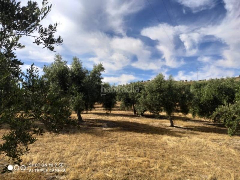 Foto 9e39936f-ab36-451d-9676-cc4102b38302. Finca rústica a Baena