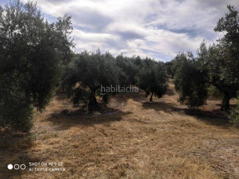 Foto a31c2757-d098-43f6-ba3f-3d5cb0556530. Finca rústica a Baena