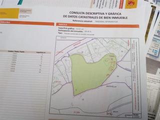 Terreny residencial a Paraje marivella 194. Se vende en zona residencial marivella 5 parcelas urbanas de 2.5