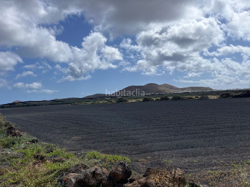 Foto dfcd8064-86f9-411b-8fed-eb9a11ebb953. Finca rústica a costa Teguise Teguise