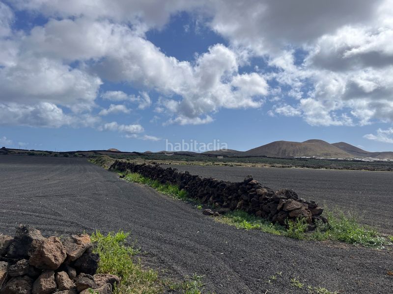 Foto ef701773-c510-4b98-bb96-9dfa7ab32091. Finca rústica a costa Teguise Teguise