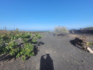 Propriété à Punta Mujeres. Finca en el norte