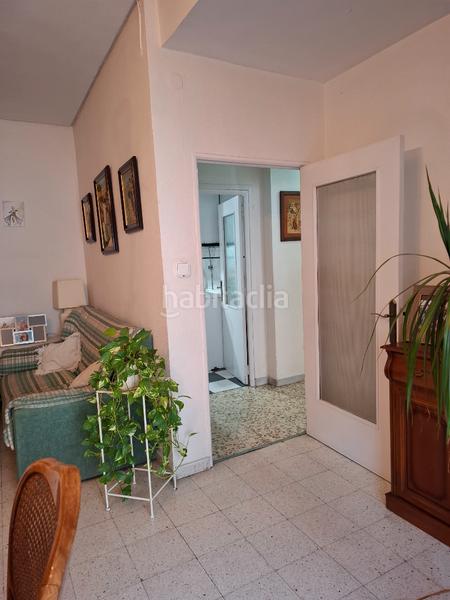 Foto 9e485c98-9c42-404f-a7a6-7b9f5e1b34bf. Pis a Los Remedios Sevilla