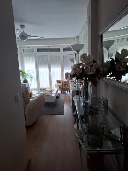 Foto cacc1d5f-2da2-4c60-99d0-d518491c977c. Pis a Triana Oeste Sevilla