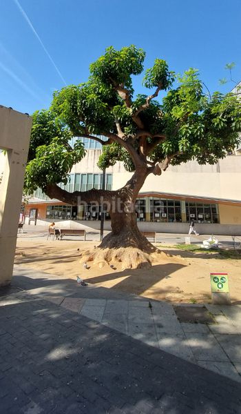 Foto b78c4332-d259-419e-abd7-bd088ad7edc3. Aparcament cotxe a carrer de la mare de déu del coll 25 a Barcelona