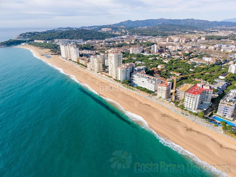Foto 9a2b9221-92d1-4cd1-8c2f-19cf9b42b3e0. Pis a Centre-Platja Platja d´Aro