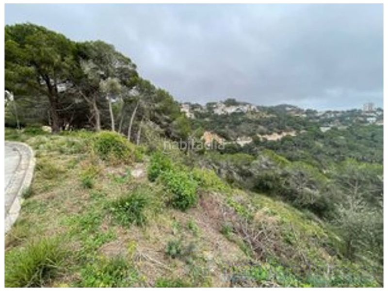 Foto 7162b9c1-e110-40ee-b0de-74ea7c49e9c4. Terreny residencial a Serra Brava Lloret de Mar