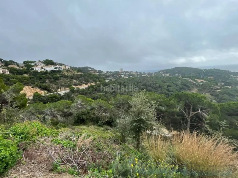 Foto 552ff7c7-b951-4524-a2f3-34221a124fde. Terreny residencial a Serra Brava Lloret de Mar