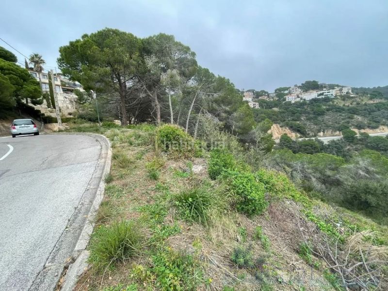 Foto 70abfa27-7e3d-4f86-85c2-61b56ca65757. Terreny residencial a Serra Brava Lloret de Mar