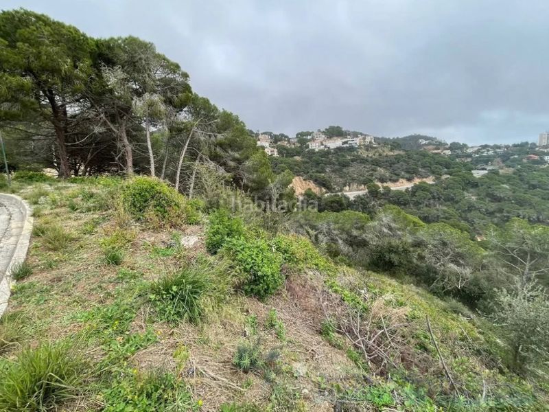 Foto 7d44cf5e-c6ba-4b74-b62a-a6c85e219154. Terreny residencial a Serra Brava Lloret de Mar