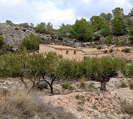 Bauernhof  Lugar castillo. Casa rustica en venta en parcela de 89.000 m2 (el castillo tibi)