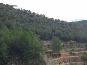 Finca rústica a Carrer la Torreta