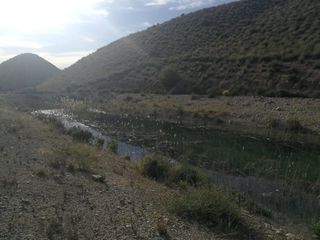 Fondo rustico in Calle vista alegre 20