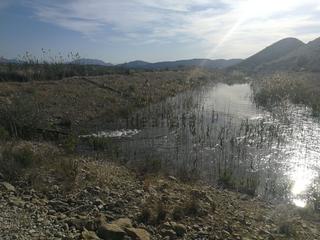 Rural plot in Calle vista alegre 20