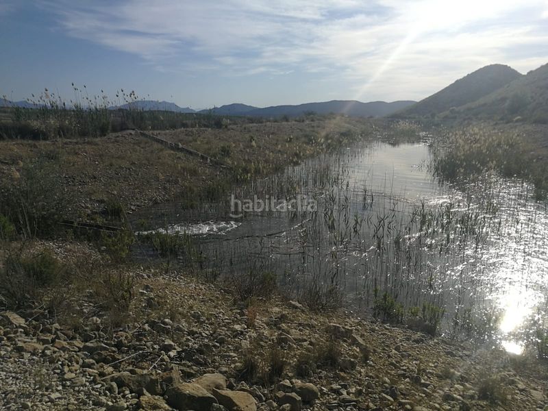 Foto 4581cb4b-7d81-4c6b-9b71-fe9ab0512622. Finca rústica a calle vista alegre 20 a Jumilla