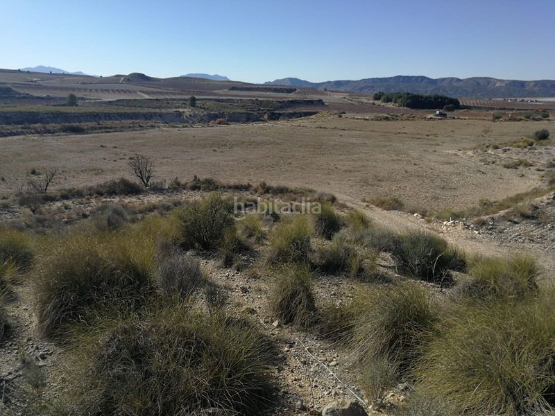 Foto 7d0d8637-bcc6-4bbd-b522-71a5a6f31d9d. Finca rústica a calle vista alegre 20 a Jumilla