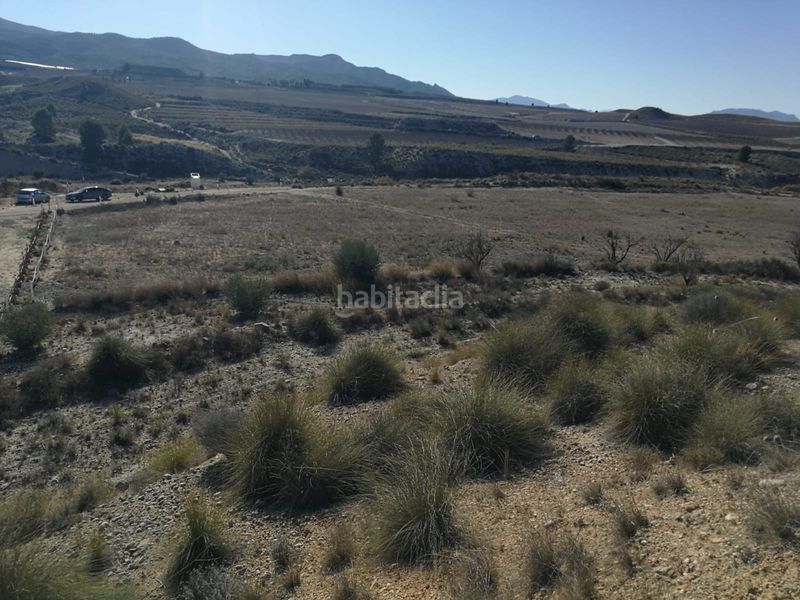 Foto c04f328e-0b76-4f48-9df9-2dfb8fa19c57. Finca rústica a calle vista alegre 20 a Jumilla