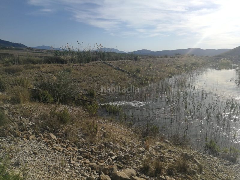 Foto d49d1159-a2c9-413b-82d4-43915b4af068. Finca rústica a calle vista alegre 20 a Jumilla