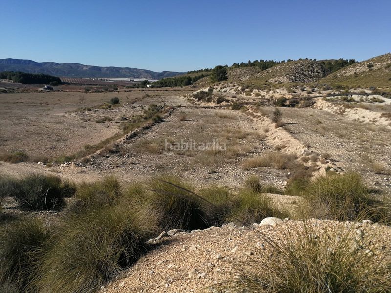 Foto f2a558d3-9063-46fa-9644-eed5a7bee55d. Finca rústica a calle vista alegre 20 a Jumilla