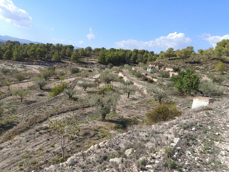 Foto 002a1f83-22b0-48d4-a066-f9e383ea67f1. Rural plot in Tibi