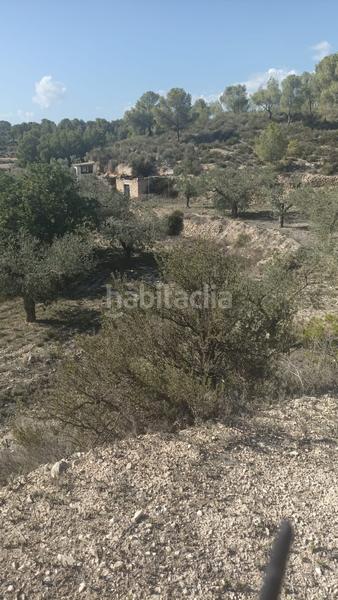 Foto 1a3fdca3-2775-45eb-9496-4d9714001c66. Rural plot in Tibi