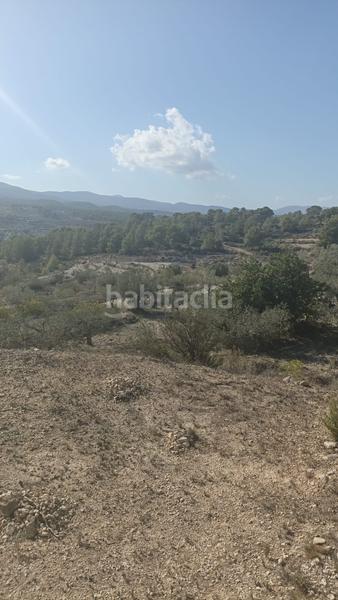 Foto 3227d4bb-90c0-4344-8753-797354cfb9c2. Rural plot in Tibi