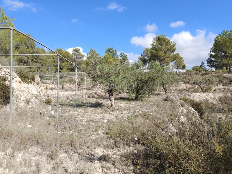 Foto 3b23a104-ad36-47ce-82ac-e4cd0612599a. Rural plot in Tibi