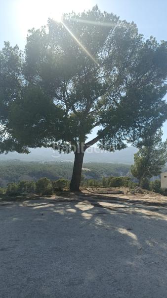 Foto 4ae1c81c-df33-46a1-9a8e-75f308bdb3af. Rural plot in Tibi