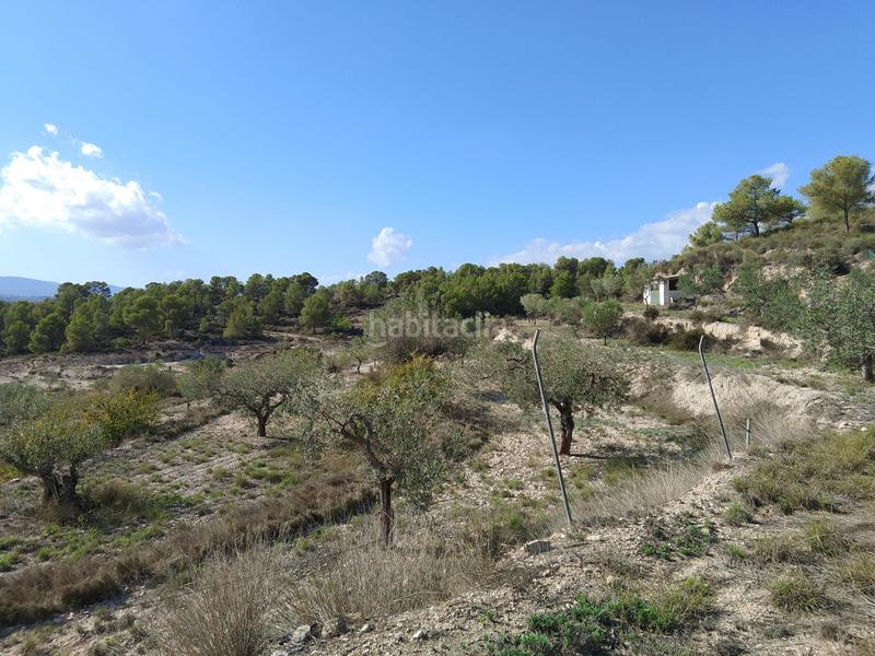 Foto 57ca0c7b-c850-4c1a-afd6-1144f73dd137. Rural plot in Tibi