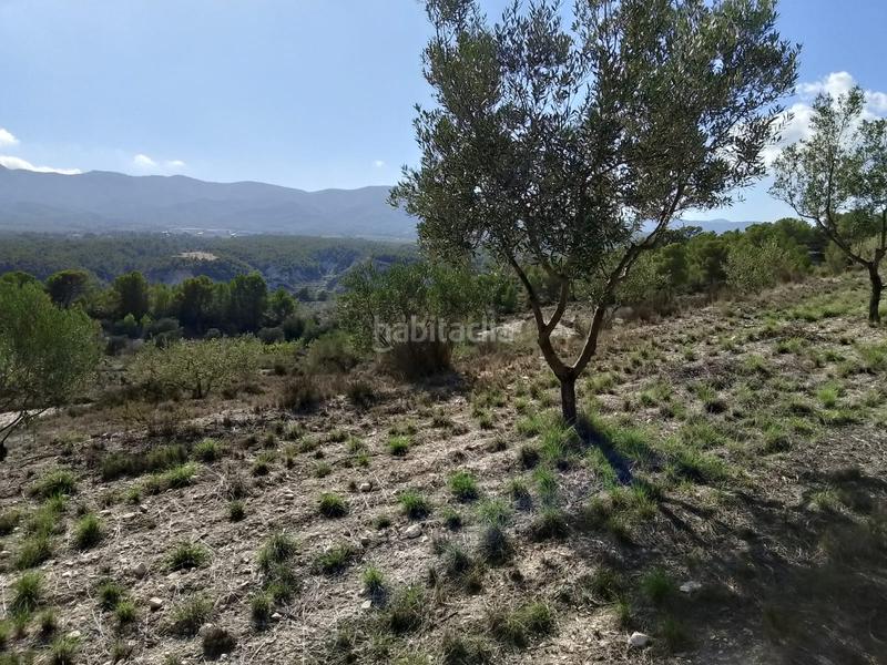 Foto 57f3ae13-bd39-4c12-b03f-15746fed7471. Rural plot in Tibi