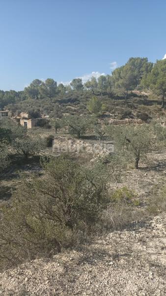 Foto 5cc1e6d1-350e-4a16-916e-9f06f5866414. Rural plot in Tibi