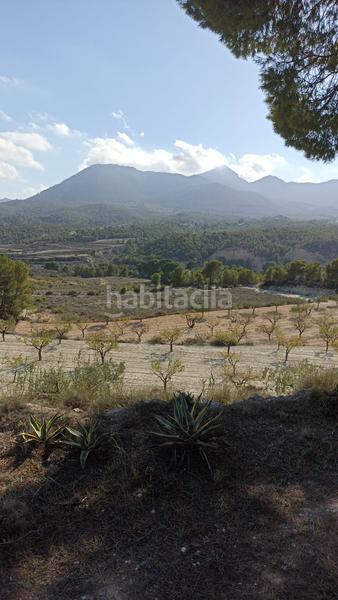 Foto 87e7756c-c67c-45bc-9133-7b602ae05542. Rural plot in Tibi