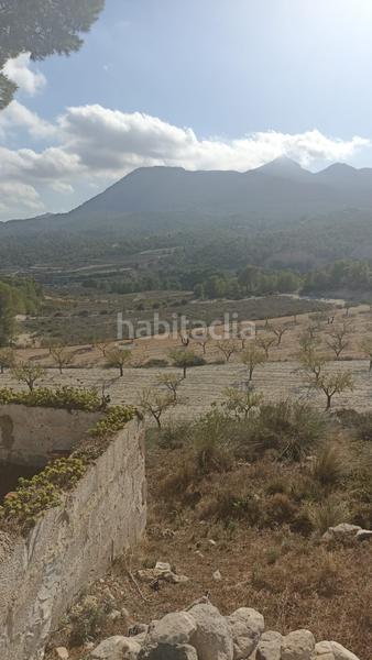 Foto 99781901-a8b7-4b84-9ea4-fbad3d331d96. Rural plot in Tibi