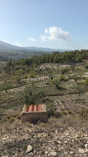 Foto 9f4e1fc4-d197-443f-b8f0-adfaea302f8d. Rural plot in Tibi