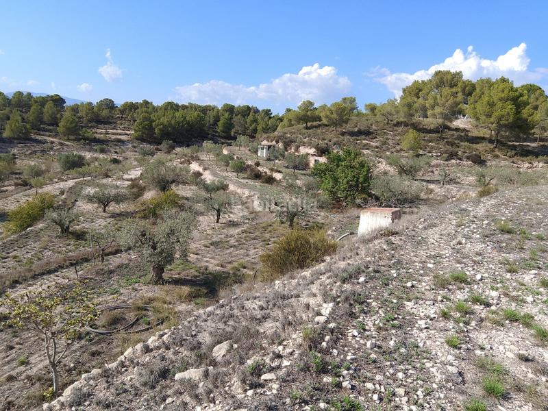 Foto aacc6322-8c3c-4b24-ba27-428f01e8e1f3. Rural plot in Tibi