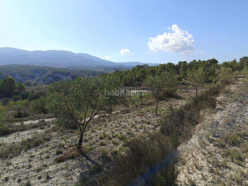 Foto ac61a03b-219b-4ae4-9f93-37673d4acb5c. Rural plot in Tibi