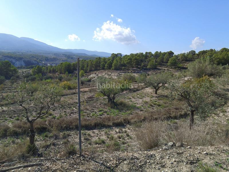 Foto bf5abab5-b78e-4227-baad-4cc814a2b96a. Rural plot in Tibi