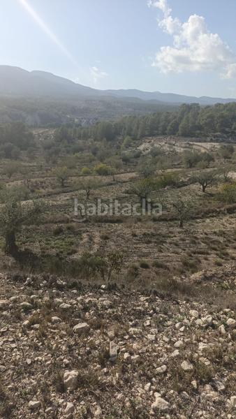 Foto c0d18f9c-3626-4595-9013-ca5b214d3c9e. Rural plot in Tibi