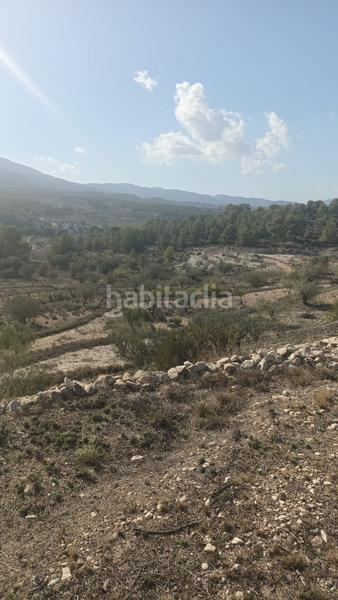 Foto c1b83ac4-8f6e-43b3-b49f-f2fad82b2bf7. Rural plot in Tibi