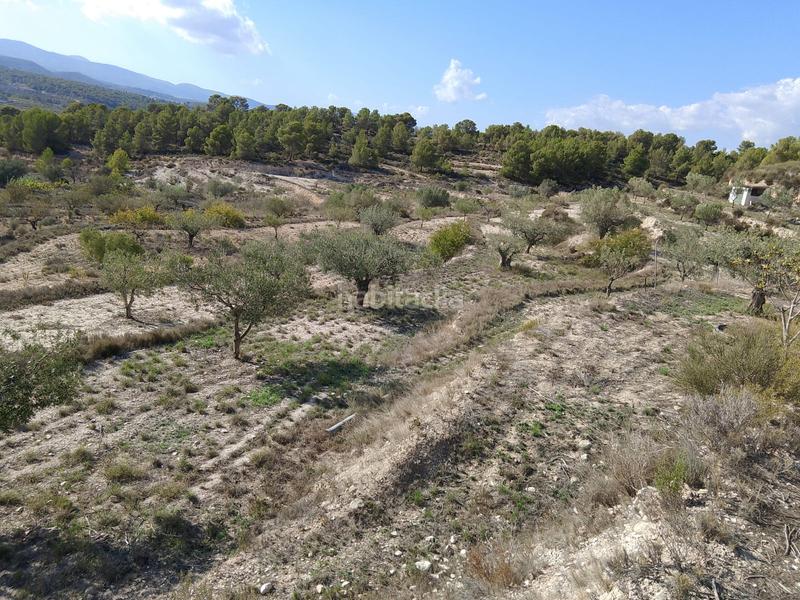 Foto cb1b5ff3-8e4a-40d0-a7b4-a852416ce1f6. Rural plot in Tibi