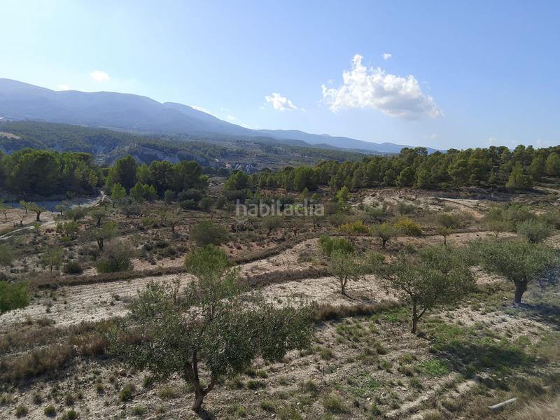 Foto dbc7c01a-70d6-4492-94fb-30de309d437d. Rural plot in Tibi