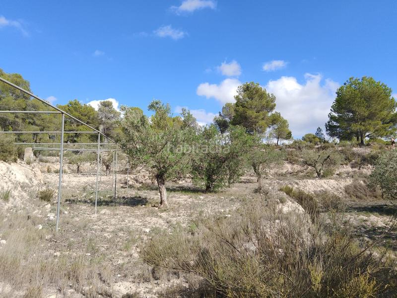 Foto df4950e1-8cef-4c54-9bb5-5faae9df6cf8. Rural plot in Tibi