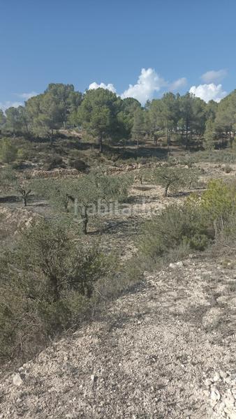 Foto e22ea540-bde3-4835-bd30-02dce409639a. Rural plot in Tibi