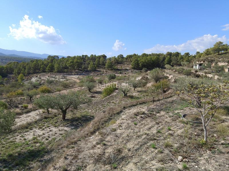 Foto e49e6496-c776-4b9f-a5fc-ff843a8b3c76. Rural plot in Tibi