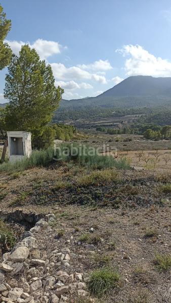Foto edad289b-7167-492e-b548-1b56618de6ce. Rural plot in Tibi