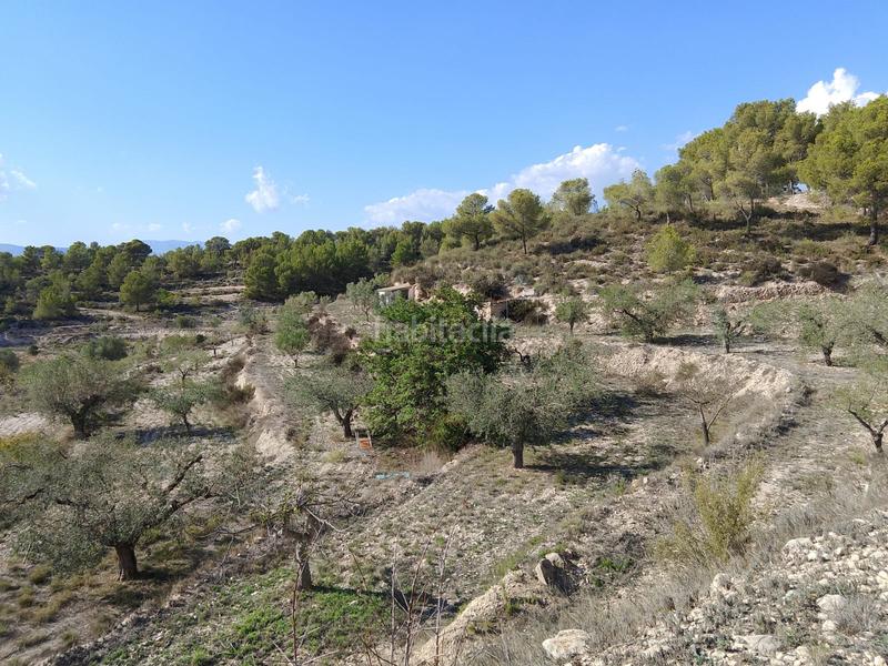 Foto f8d56ea5-db12-4464-8688-d91c1914c79f. Rural plot in Tibi