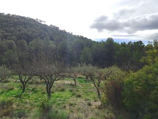 Propriété  Castillo. Finca rústica en el corazón de las montañas