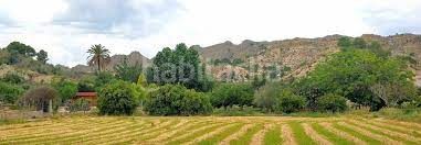 Foto 53693bc2-6d40-441d-b468-5ac399dab79b. Terreno residenziale in Gea y Truyols Murcia
