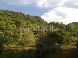 Foto 683c49b2-3476-4555-929c-0b2814211e17. Terreno residenziale in Gea y Truyols Murcia